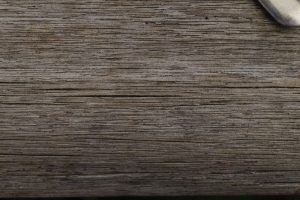 wood_grain_texture_2_by_grizzlybaer-d96oxe6